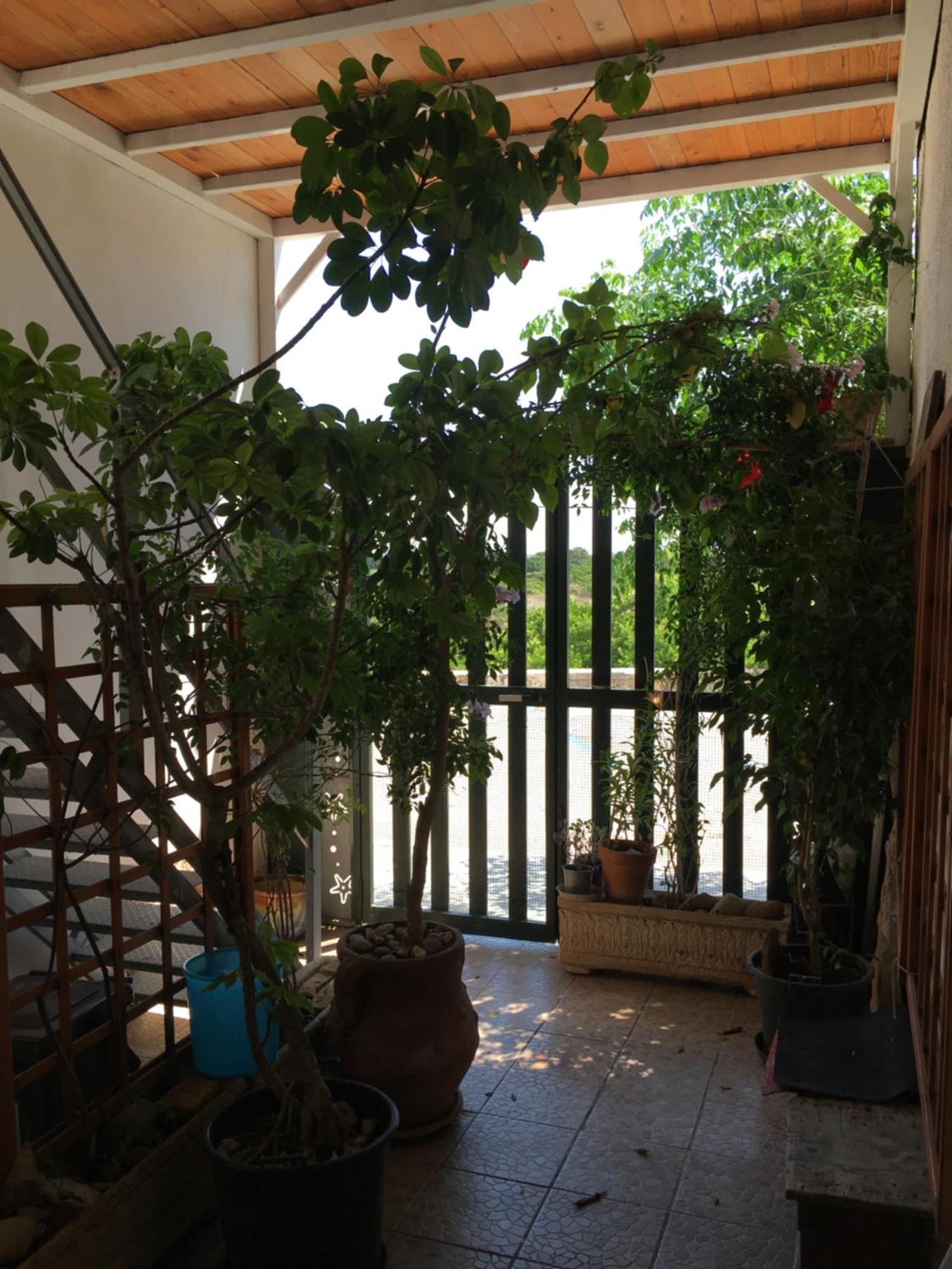 Apartment Litoralis